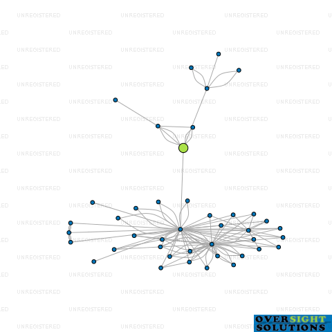 Network diagram for MODEL IQ LTD