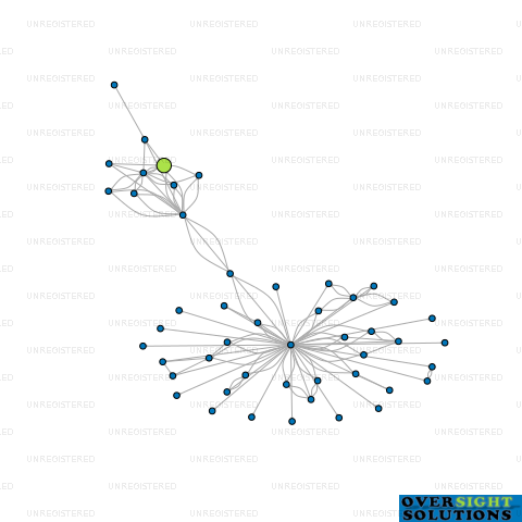 Network diagram for WILSONGRANGE INVESTMENTS LTD