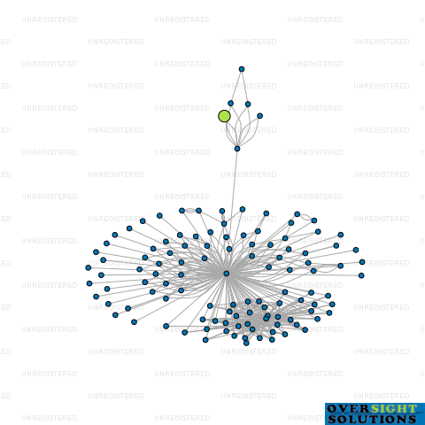 Network diagram for 0991 LTD