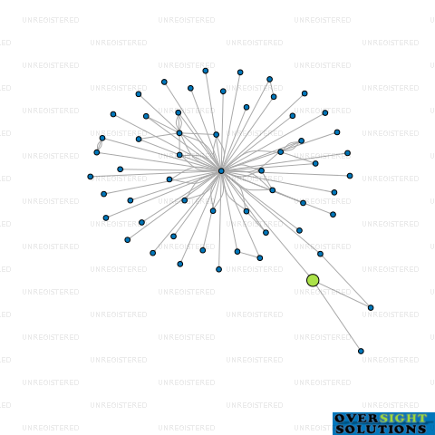 Network diagram for WINGS VENTURES LTD