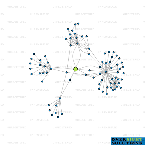 Network diagram for HIGHGATE GROUP LTD