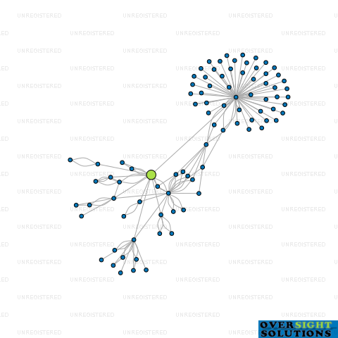 Network diagram for COMMERCIAL CONSULTANTS LTD