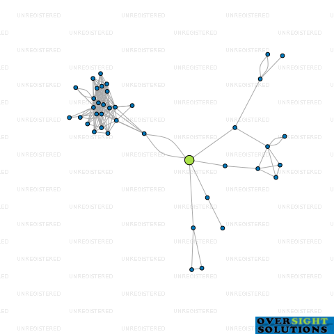 Network diagram for CHANG YUAN CHEN TRUSTEES LTD
