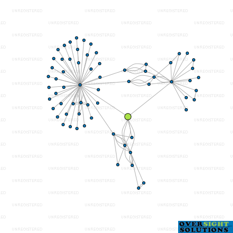 Network diagram for SHAKEN HOLDINGS LTD