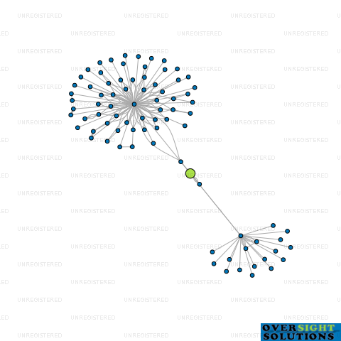 Network diagram for WINNING EDGE LTD