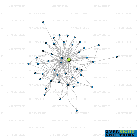 Network diagram for SARIN INVESTMENTS LTD