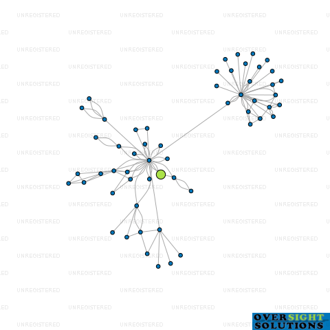 Network diagram for MONETARY INVESTMENTS LTD