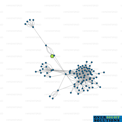 Network diagram for HEWLETT ST INVESTMENTS LTD