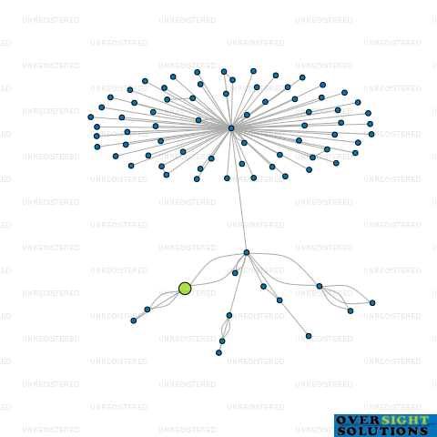 Network diagram for AMBITION BUILT LTD