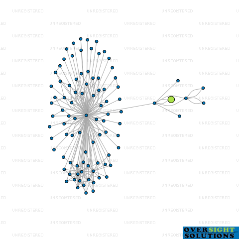 Network diagram for WING HOMES LTD