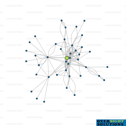 Network diagram for RAYDEN INDUSTRIES LTD