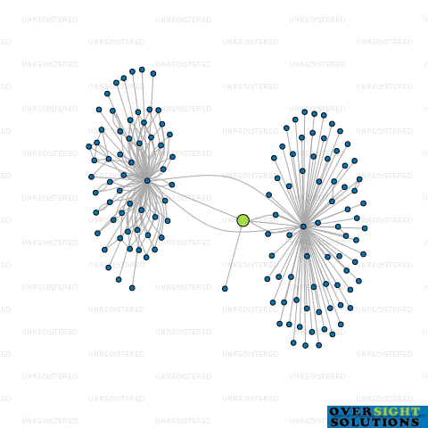 Network diagram for SGUN NOMINEE LTD