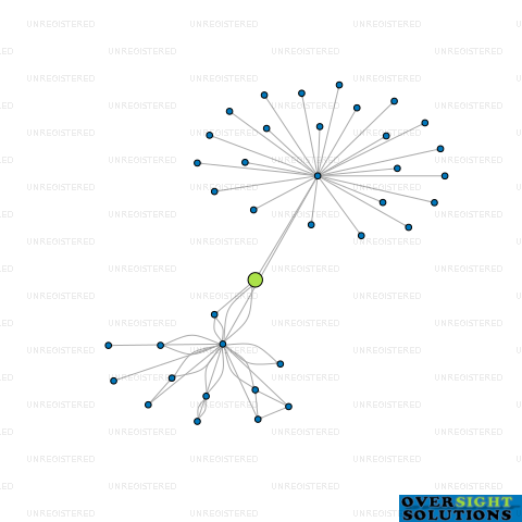 Network diagram for PLUS 4 FINANCIAL SERVICES LTD