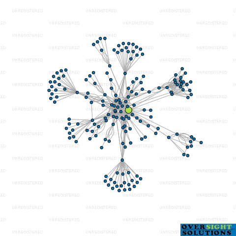 Network diagram for 2 OMG INVESTMENTS LTD