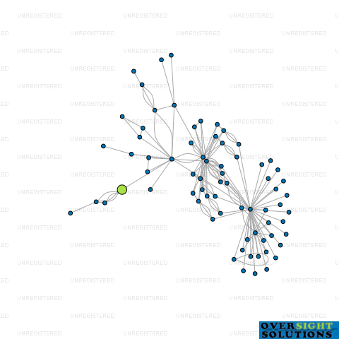 Network diagram for QUEENSTOWN LAKES REALTY LTD