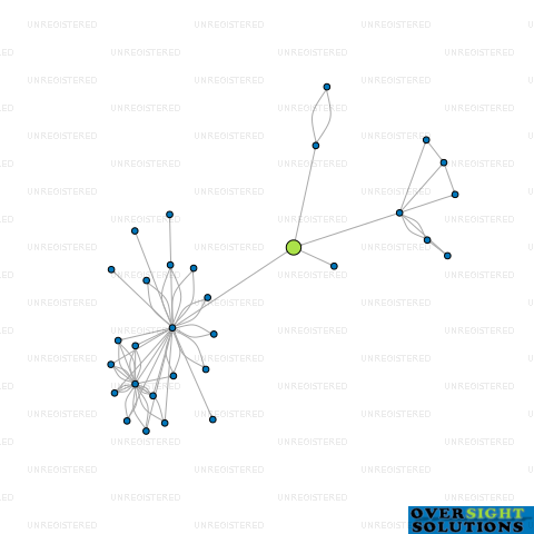 Network diagram for SCULLYS LTD