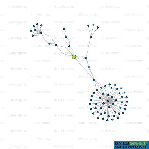 Network diagram for TRIBAL PASS LTD