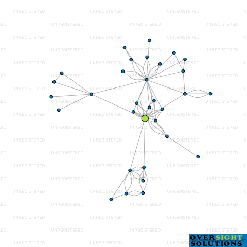 Network diagram for VAULT GROUP HOLDINGS LTD