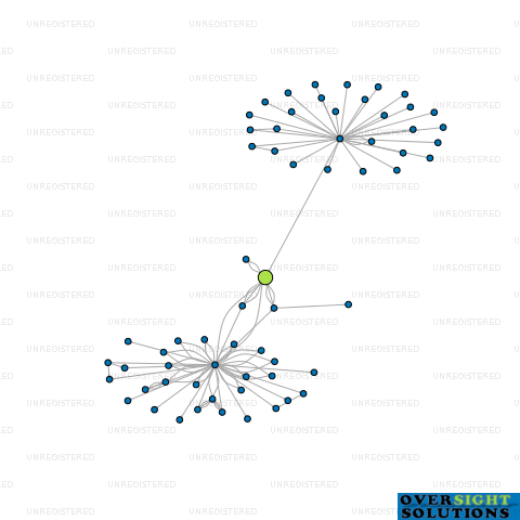 Network diagram for HUADU INTERNATIONAL CONSTRUCTION GROUP NEW ZEALAND CO LTD