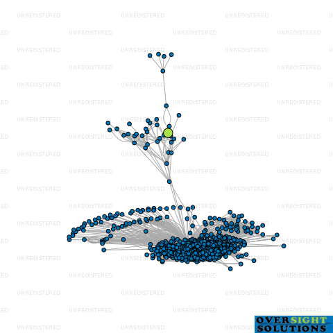 Network diagram for OZ ENTERPRISES LTD