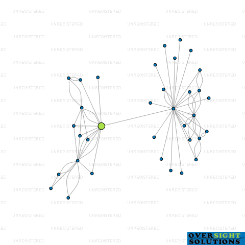 Network diagram for HI LIFT GROUP LTD