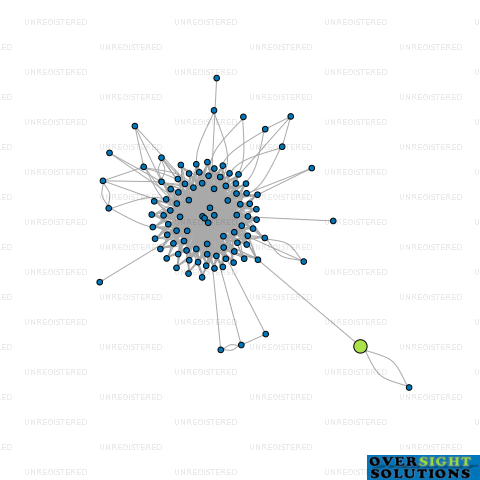 Network diagram for 20 PADDOCKS LTD