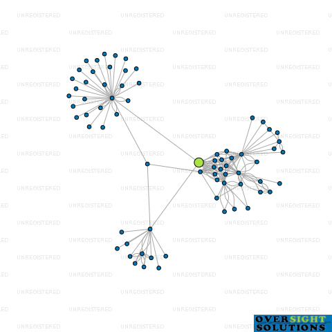 Network diagram for 42GO LTD