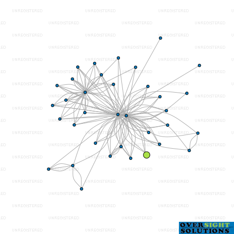 Network diagram for 333 FORENSIC NEW ZEALAND LTD