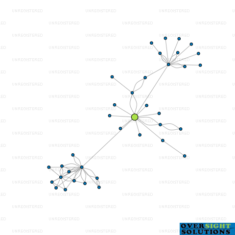 Network diagram for TRINEO LTD