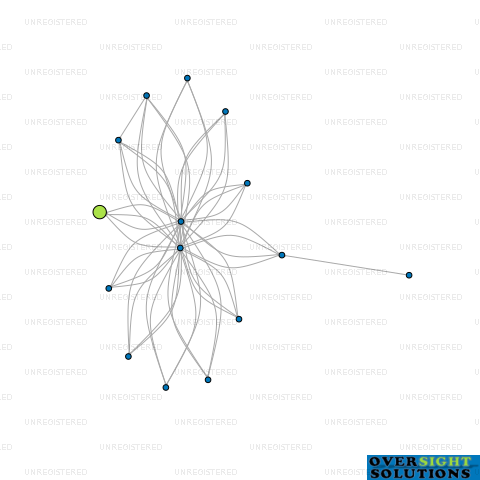 Network diagram for 1RGN LTD