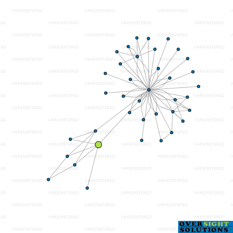 Network diagram for RASIER NEW ZEALAND LTD