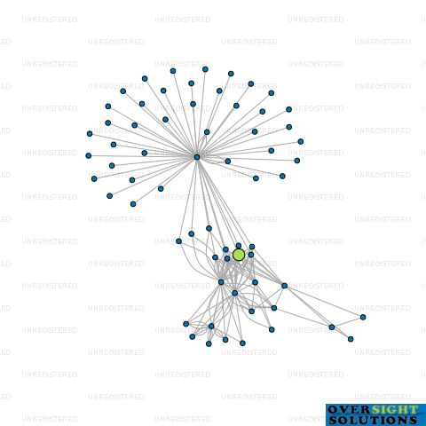 Network diagram for 21 DIVICH LTD