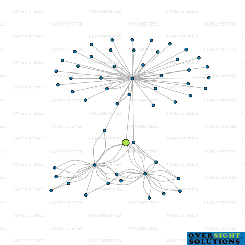 Network diagram for HIDDEN QUEENSTOWN LTD