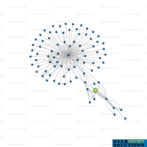 Network diagram for SEARIDGE CORPORATION LTD