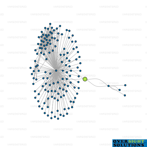 Network diagram for WISE FORTUNE FINANCE LTD