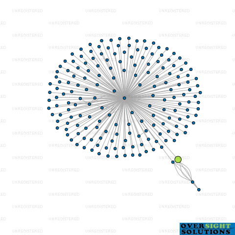 Network diagram for CONCEPT ROOFING LTD