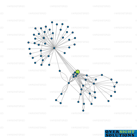 Network diagram for ALTERED CAPITAL LTD