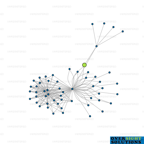 Network diagram for TREASURE INVESTMENTS LTD