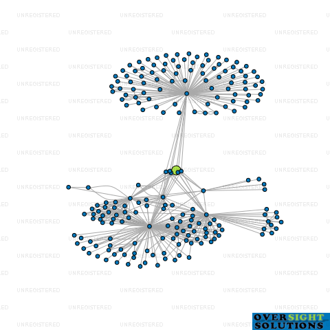 Network diagram for TUMU NAPIER LTD