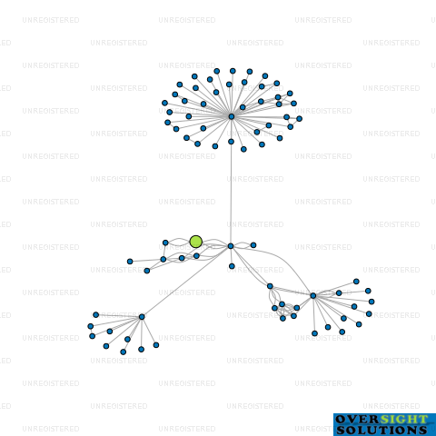 Network diagram for 383 LTD
