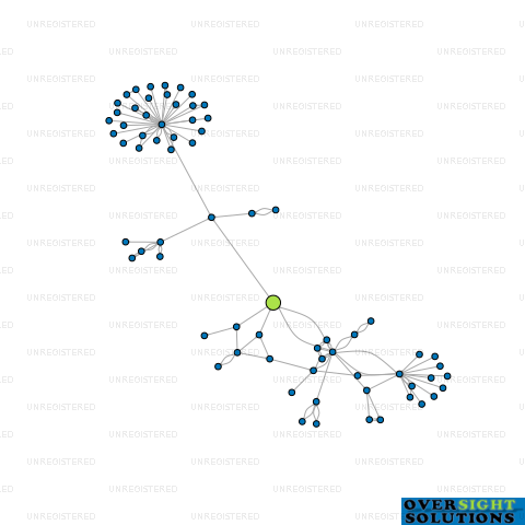 Network diagram for 16 ALNWICK LTD