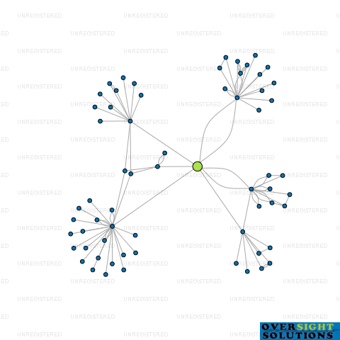 Network diagram for SDM INVESTMENTS LTD