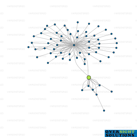 Network diagram for SEAVIEW TIMBERS LTD