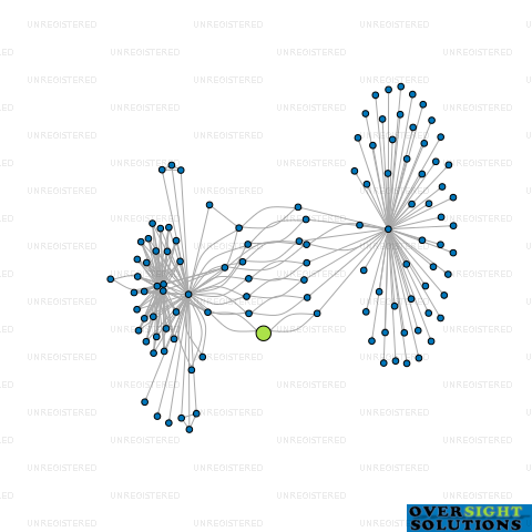 Network diagram for NELSON TRUSTEES GREEN LTD