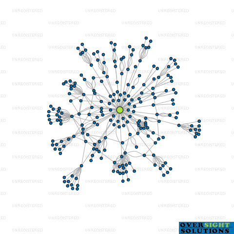 Network diagram for CNI IWI HOLDINGS LTD