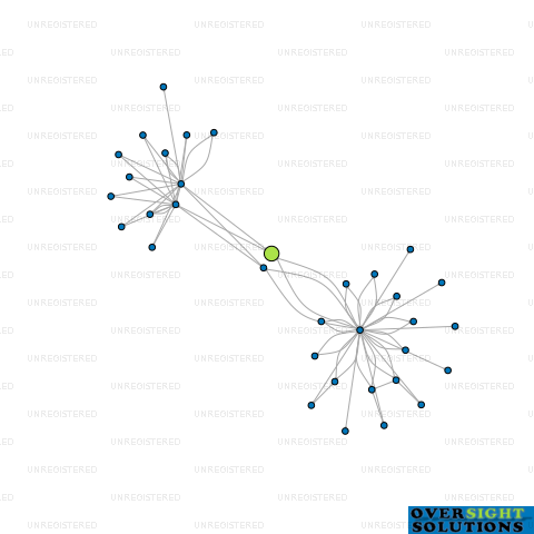 Network diagram for 29 LTD