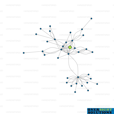 Network diagram for HIGHFIELD ORCHARD LTD