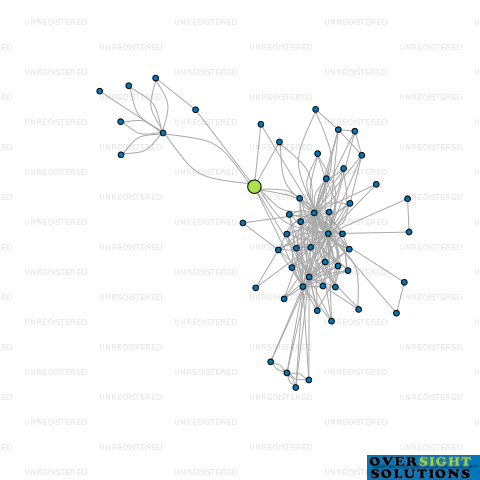 Network diagram for CK IMPORT  EXPORT COMPANY NZ LTD