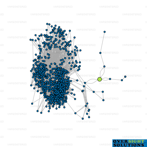 Network diagram for SILVER FERN AUTOS LTD