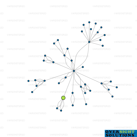 Network diagram for A RAMAN LTD